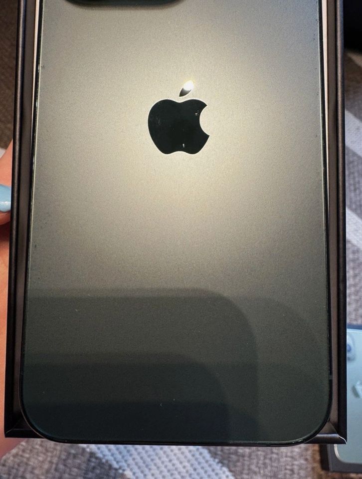 iPhone 13 Pro · Smaragdgrün – Originalfoto 3 von 9